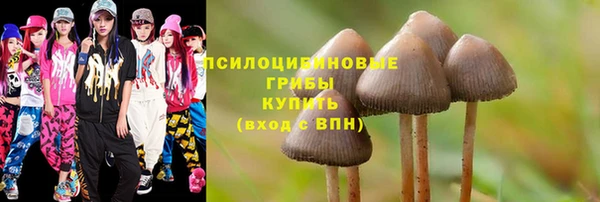 сатива Киреевск