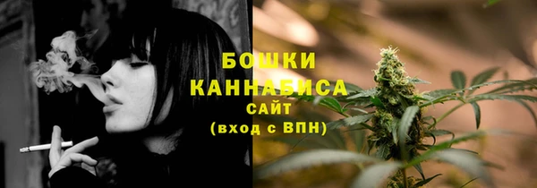 сатива Киреевск