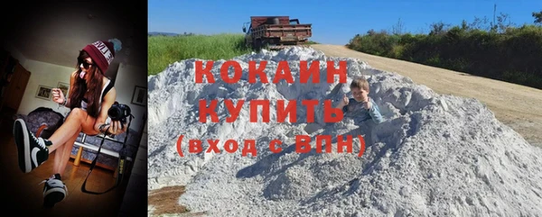 сатива Киреевск