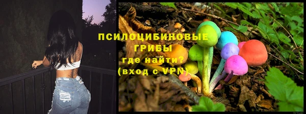 сатива Киреевск