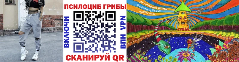 Псилоцибиновые грибы мицелий  Димитровград 
