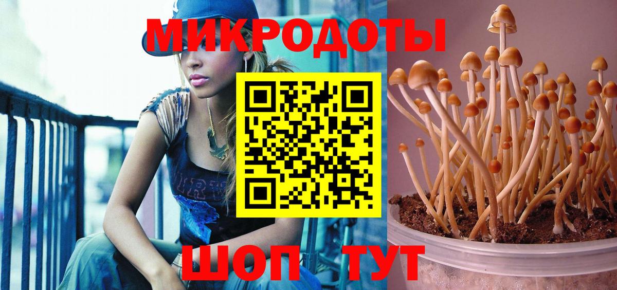 Галлюциногенные грибы прущие грибы  цена   Димитровград  Вход с VPN 