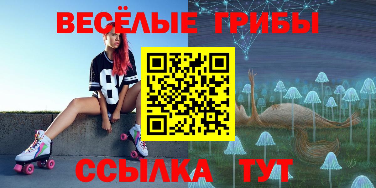 Галлюциногенные грибы прущие грибы  Димитровград  Галлюциногенные грибы мухоморы 