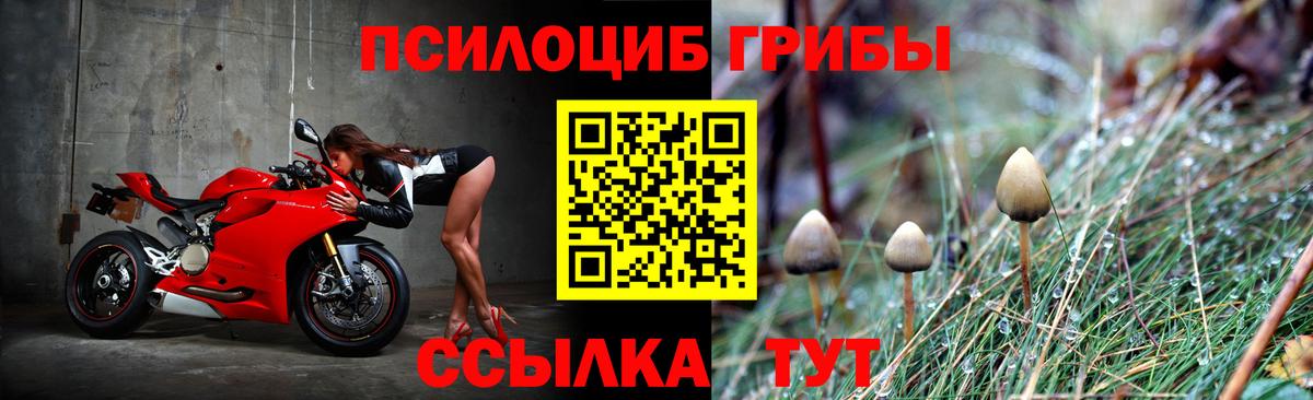 Псилоцибиновые грибы прущие грибы Димитровград