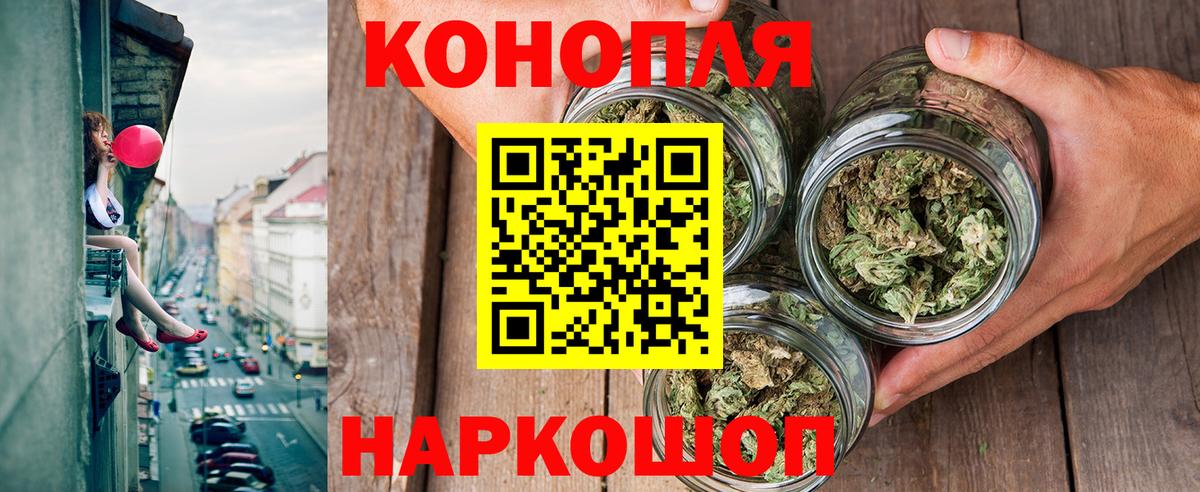 APVP Димитровград
